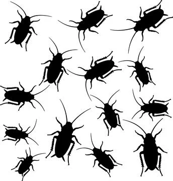 Cockroaches swarm, minimal flat vector illustration イラスト素材