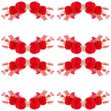 Cockscomb Stock Photos