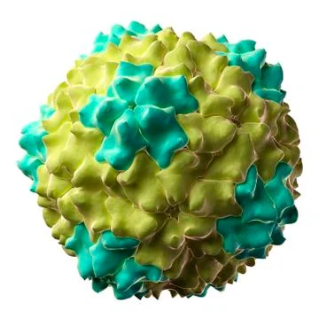 Cocksfoot mottle virus; artwork Stock Illustration