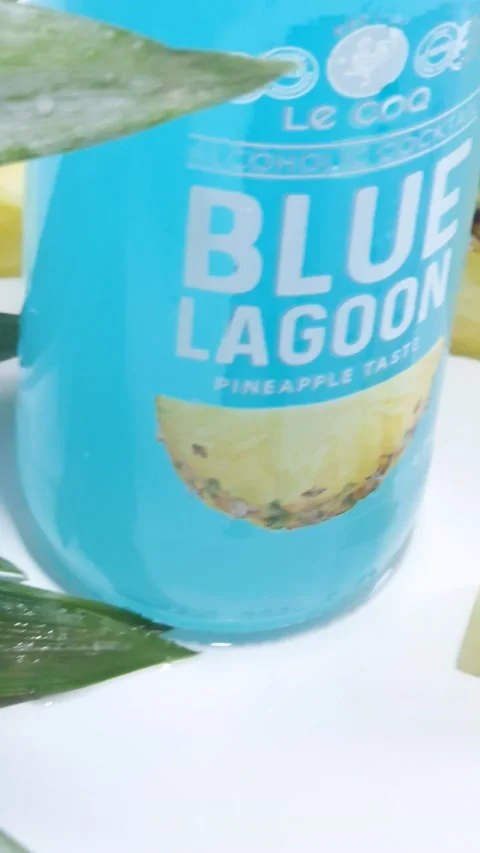 Cocktail Drink Pineapple Fruit Vertical Footage 08 Stock Footage 221931581