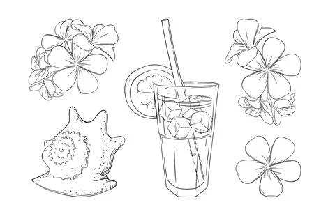 Cocktail, flowers and seashell set. Sea vacation with cocktails set isolated in Illustrazione stock