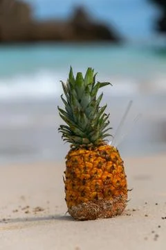 Cocktail Stock Photos