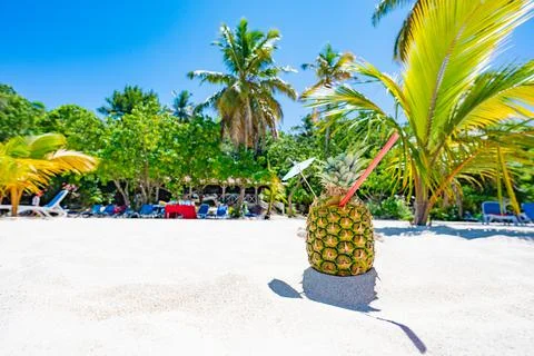 Cocktail in pineapple on the sand Фото