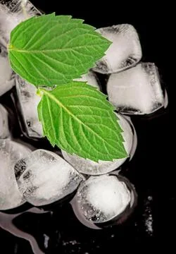 Cocktail preparation. Ice cube with mint leaves on black background Stock Photos