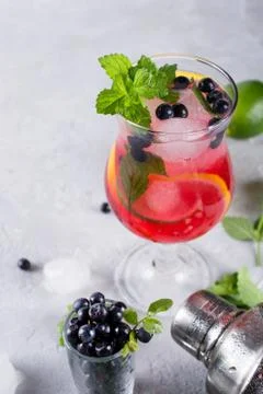 Cocktail shaker, lemon, lime, mint leaves blueberry and  ice Stock Photos