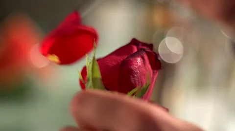 Cocktail slow motion Stock-Footage 49038500