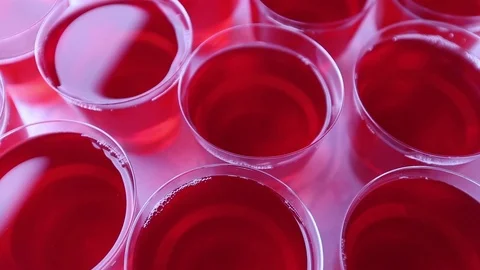 Cocktail welcome drink Stock-Footage 70080972