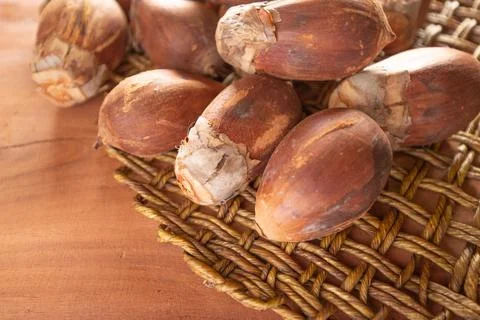 Coco of the Babau palm tree, a product of importance for the economic develop Stock Photos