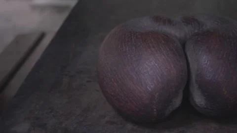 COCO DE MER NUT 1080P 25FPS Stock Footage 240809426