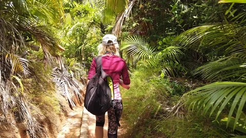 Coco de Mer palm tree walk third person view Vidéo 109104043