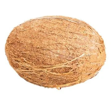 Coco it is isolated on a white background Stock Photos