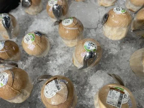 Coco Lani young coconuts on ice Stock Photos