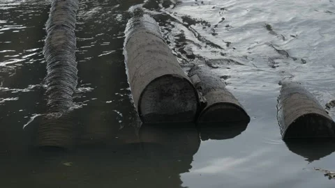 Coco lumber log trunks pile of the logging wood industry Video stock 133445575