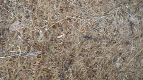 Coco mat coconut matt Stockbeeldmateriaal 65240045