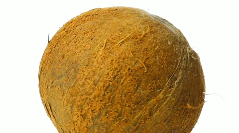 Coco nut rotations 2 Vidéo 1183836