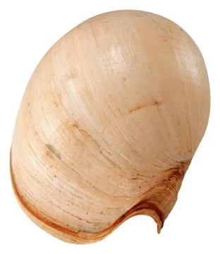 Coco nut shell Stock Photos