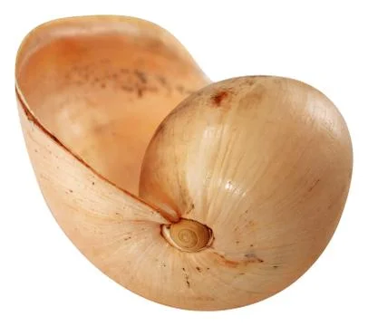 Coco nut shell Stock Photos