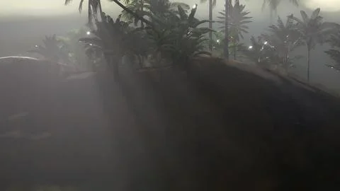 Coco palm trees tropical landscape Ilustración de archivo