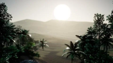Coco palm trees tropical landscape 스톡 일러스트
