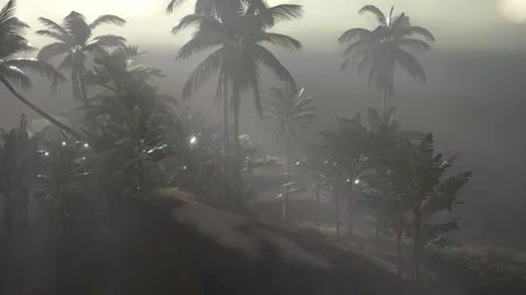 Coco palm trees tropical landscape 스톡 일러스트