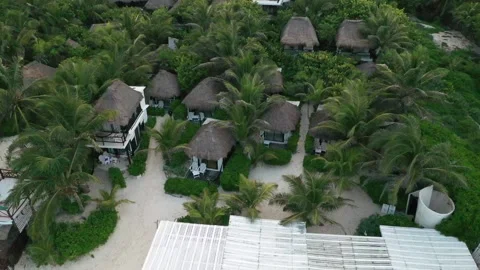 Coco Tulum - Asterioid Quick Shot Vídeo Stock 137428030