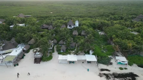 Coco Tulum Pan out from Beach Front Cottages 3 動画素材 137428316