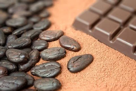 Cocoa and chocolate Stock Photos