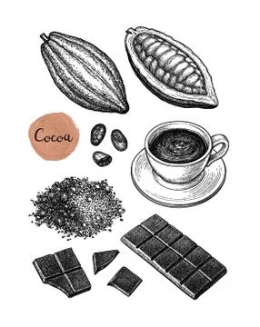 Cocoa and chocolate set. Illustrazione stock