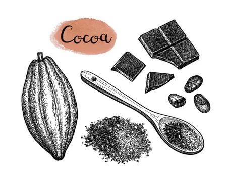 Cocoa and chocolate set. Illustrazione stock