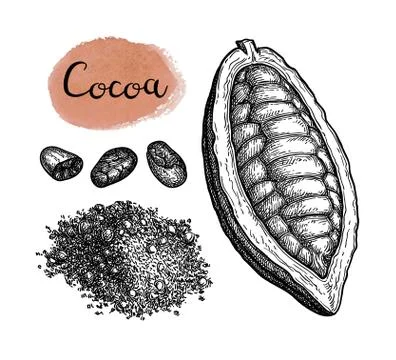 Cocoa and chocolate set. Stock Illustration