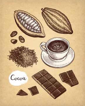 Cocoa and chocolate set. Stock Illustration