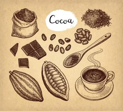 Cocoa and chocolate set. Stock Illustration