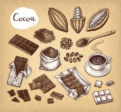 Cocoa and chocolate set. Stock Illustration