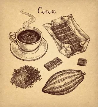 Cocoa and chocolate set. Stock Illustration