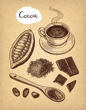 Cocoa and chocolate set. Stock Illustration