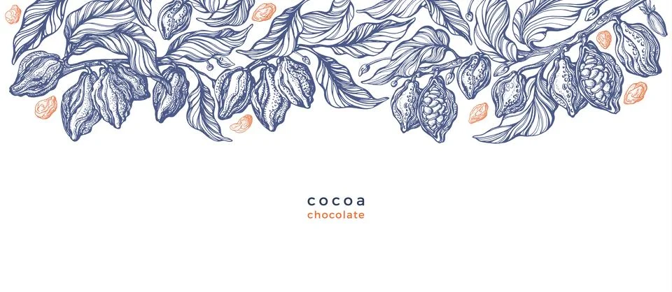 Cocoa background Vector chocolate Art illustration Stock Illustration