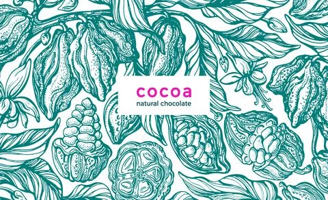 Cocoa background. Vector nature card. Hand drawn tree, fresh bean, green foli Stock Illustration