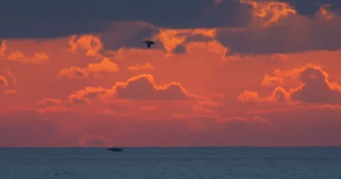 Cocoa Beach, Florida Stock Footage 45310755