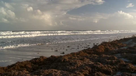 Cocoa Beach, Florida Stock Footage 45478789