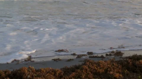 Cocoa Beach, Florida Video stock 45479008