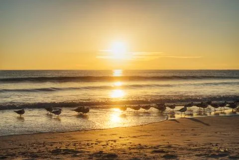 Cocoa Beach Stock Photos
