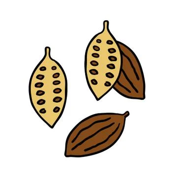 Cocoa bean doodle icon, vector color illustration Stock Illustration