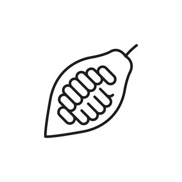 Cocoa Bean Icon Stock Illustration