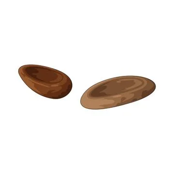 Cocoa bean illustration Stock Illustration