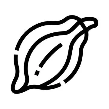 Cocoa bean line drawing vector icon Stock Illustration
