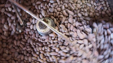 Cocoa Bean Roasting, stirring hot skillet on stove toasting whole cocoa beans Stock Footage 168064124
