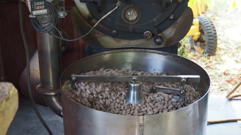 Cocoa Bean Roasting, stirring hot skillet on stove toasting whole cocoa beans Stock Footage 202159830