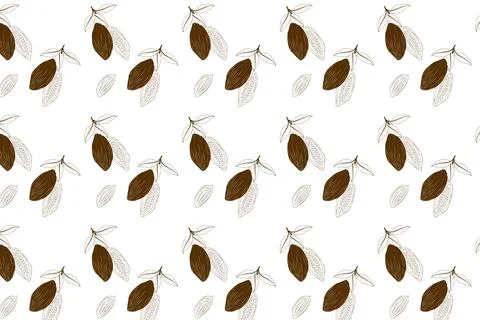 Cocoa Bean Seamless Pattern. Stock Illustration