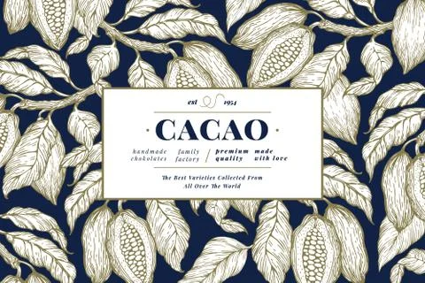 Cocoa bean tree banner template. Chocolate cocoa beans background. Vector hand Stock Illustration