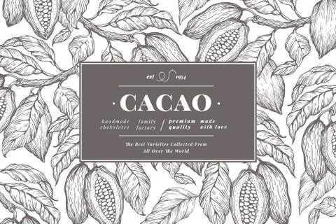 Cocoa bean tree banner template. Chocolate cocoa beans background. Vector hand Stock Illustration